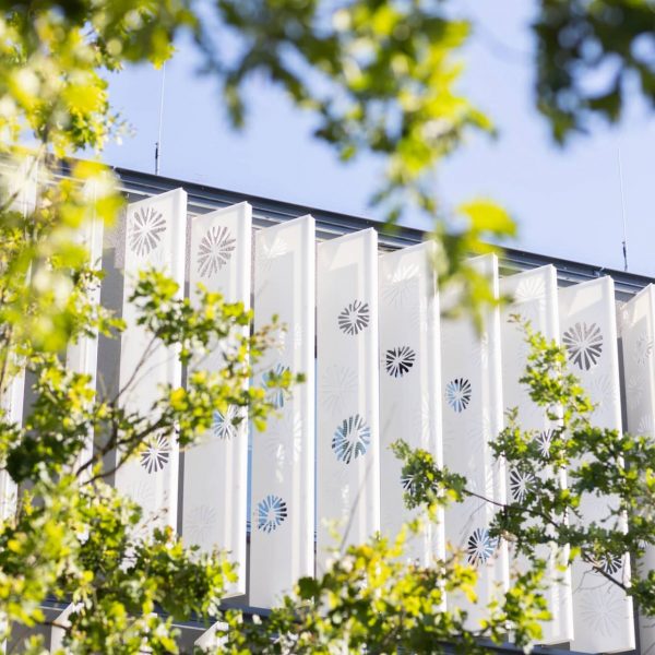 HIFMB-250905-htp-nhm-0011-bearb