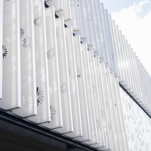 HIFMB-250905-htp.nhm-0082